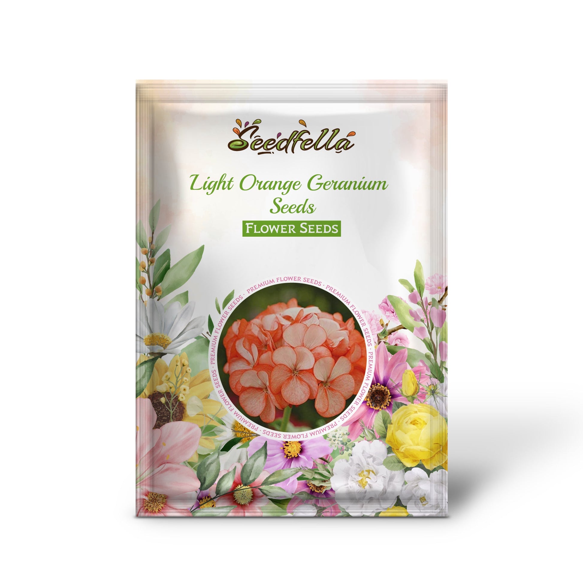 Light orange geranium seeds germinating seedlings