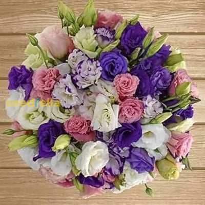100 Pcs