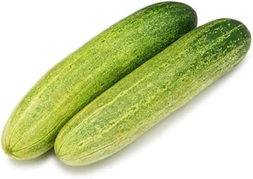 Long Greek cucumber seeds for planting