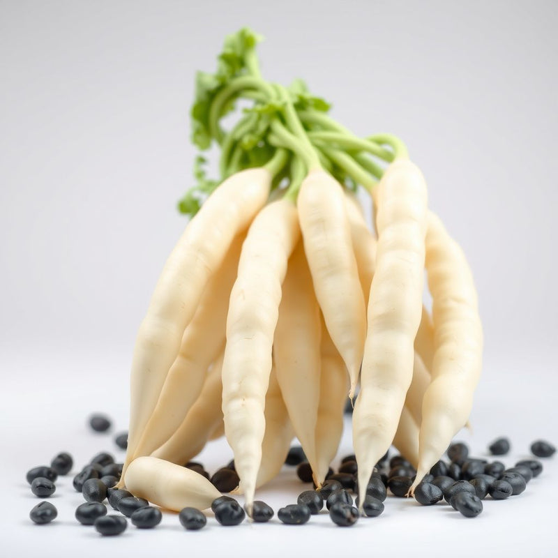 Black & White Troot Bean Vegetable Planting Seeds