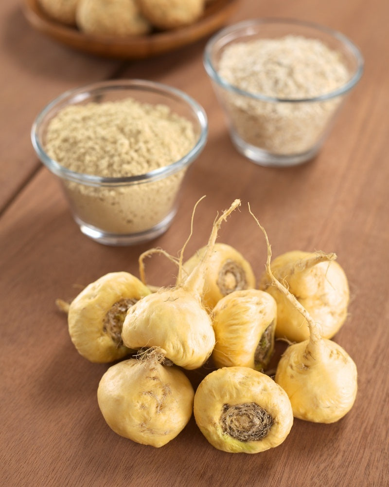 Maca Vegetable Seeds for Easy Planting