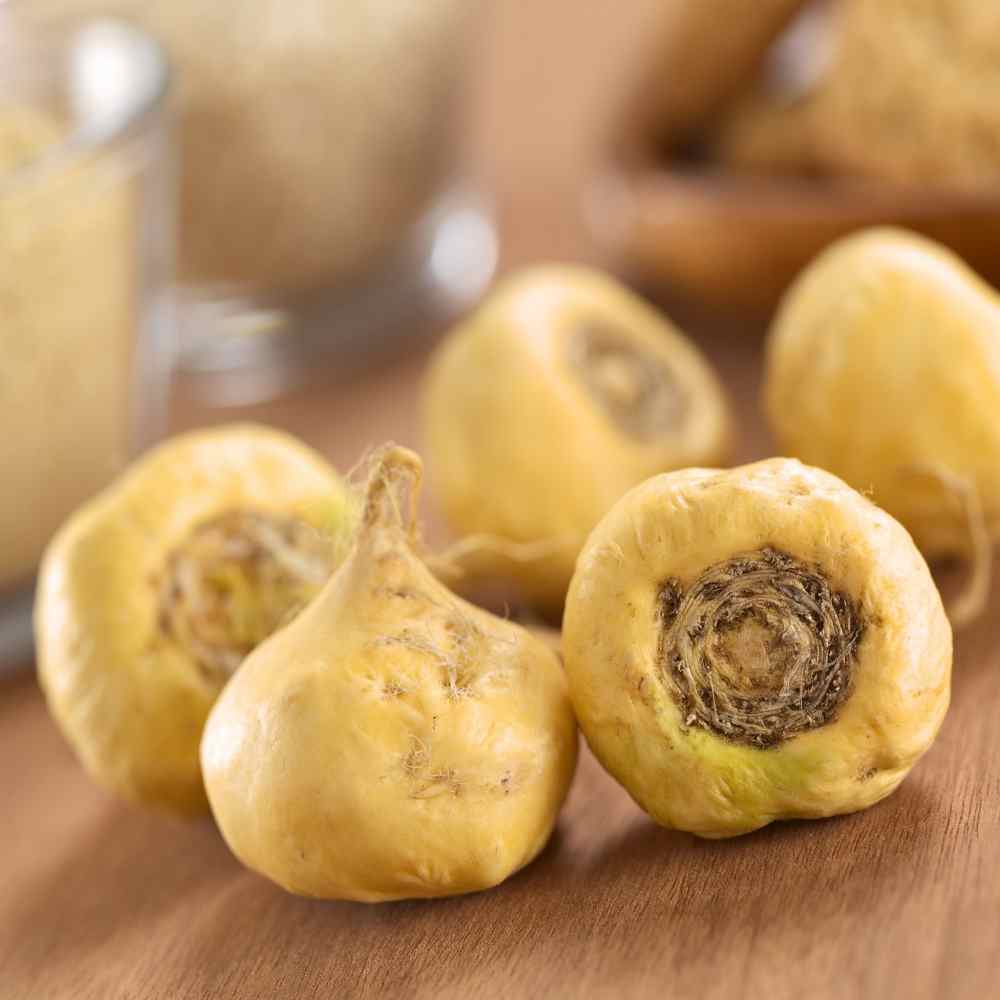 Maca Vegetable Seeds for Easy Planting