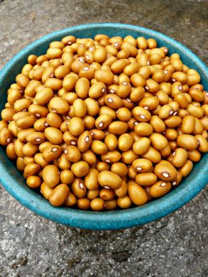 Swedish Brown Beans Vegetable Seeds for Planting