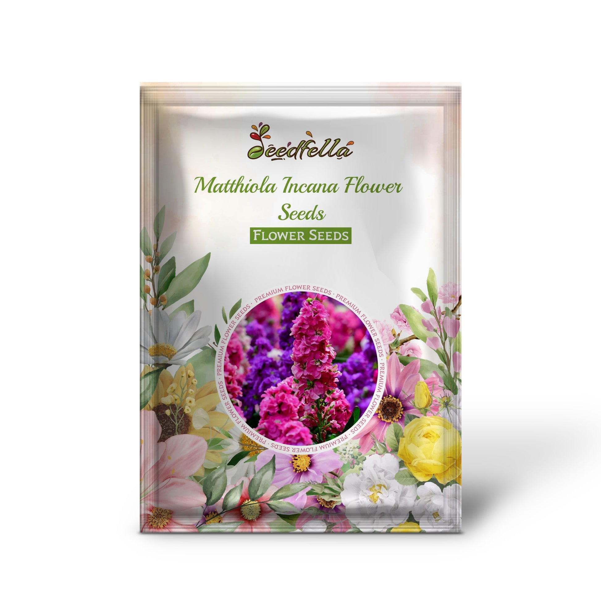 Matthiola Incana Seeds For Planting