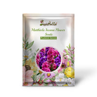Matthiola Incana Seeds For Planting