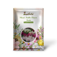 Mixed Astilbe Flower Seeds