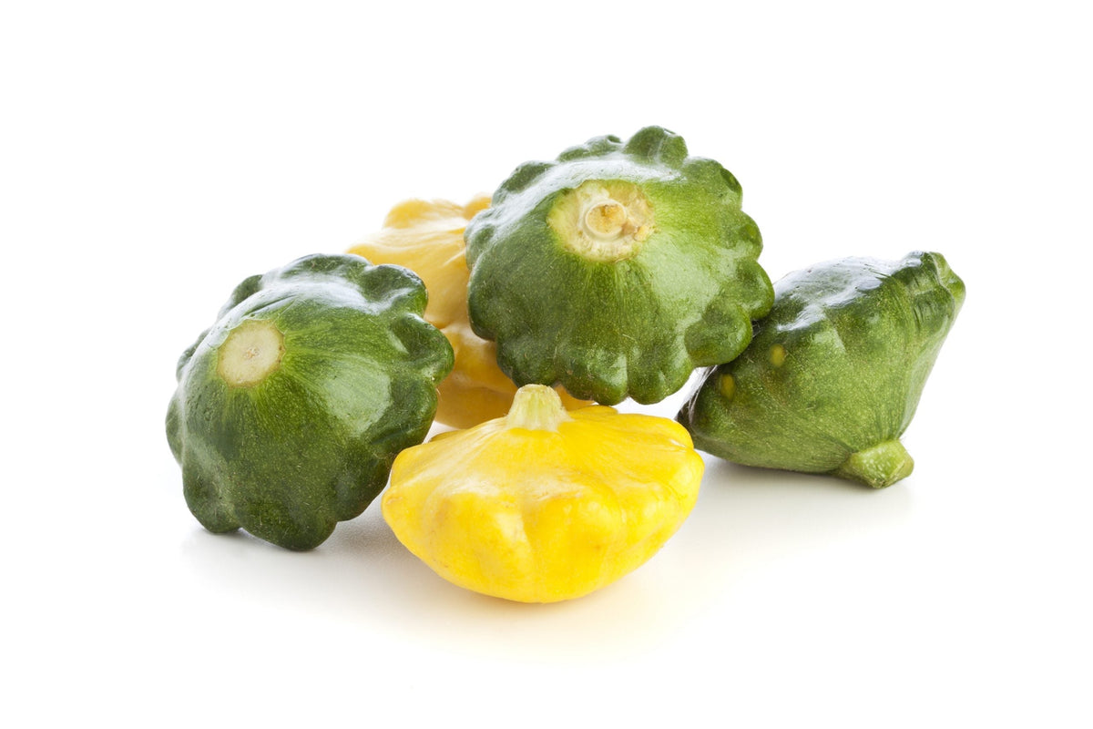 Mixed Patty Pan plants thriving in raised garden beds