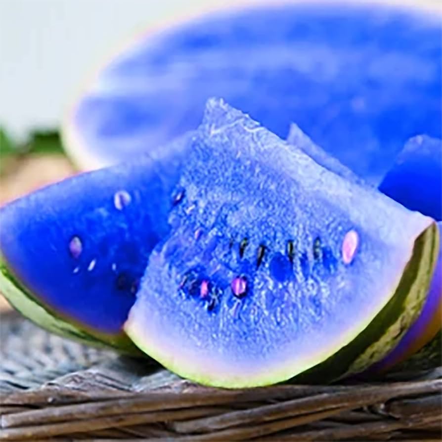 Multicolor watermelon fruits grown from organic giant watermelon seeds