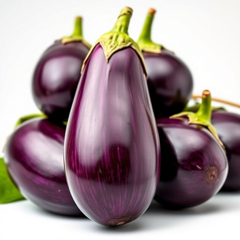 Millionaire Purple Eggplant Seeds for Planting  Grow Delicious Eggplants in Your Garden
