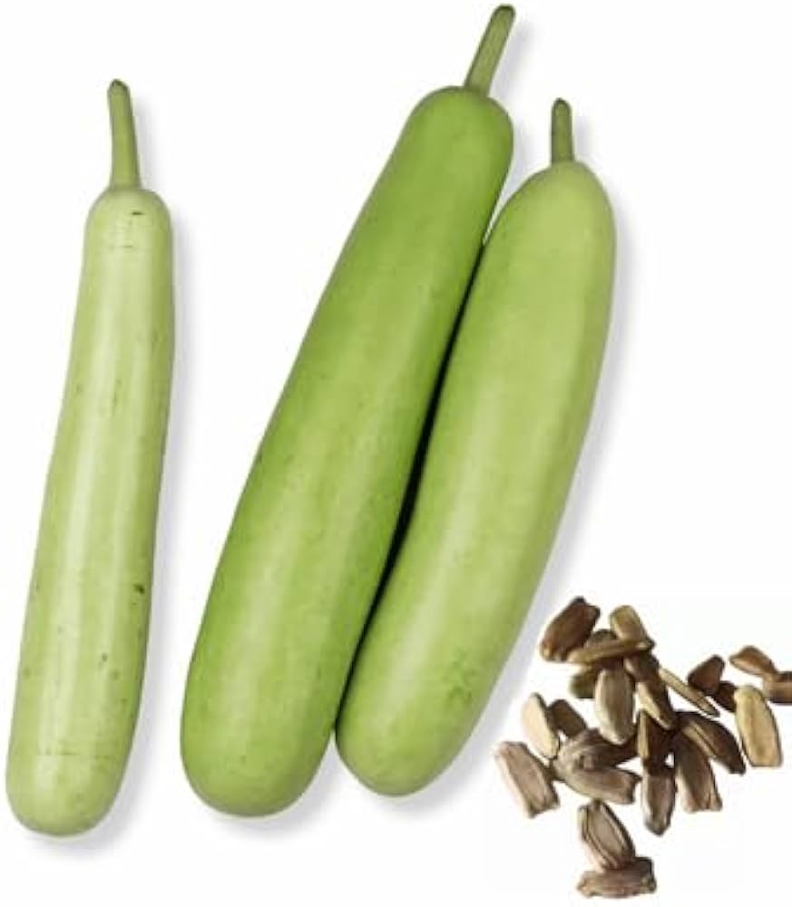 Non-GMO Bottle Gourd seeds