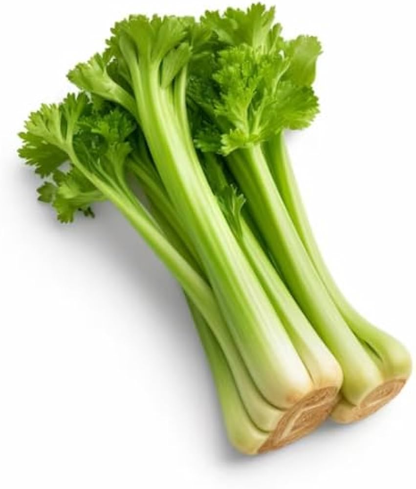 Non-GMO celery seeds for backyard planting