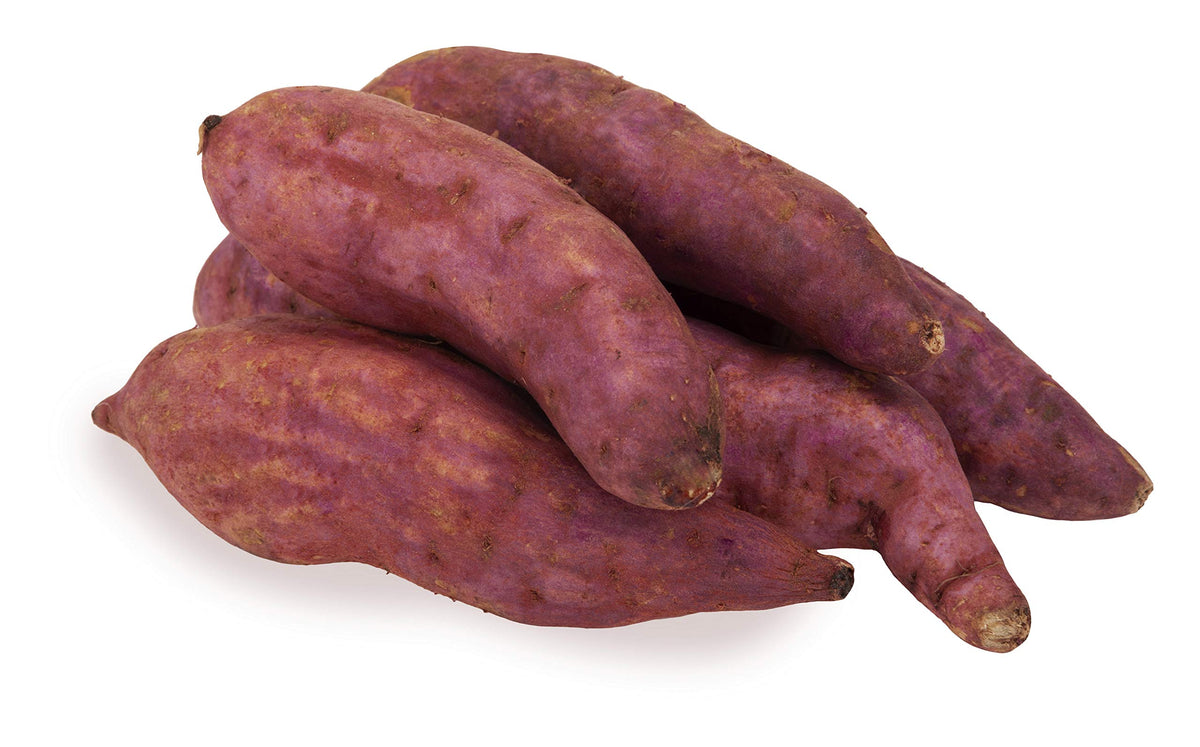 Non-GMO Giant Sweet Potato seeds