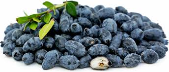 Non-GMO Myrtle seeds evergreen aromatic Mediterranean plant