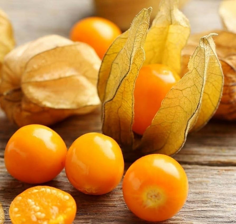 Non-GMO Pineapple Tomatillo seeds sweet tropical ground cherry