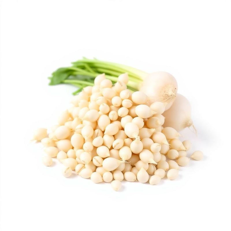 White Radish Seeds for Vegetable Planting