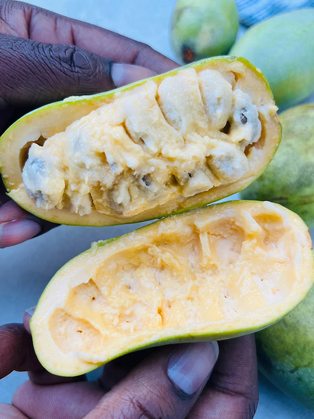 Pawpaw Fruit Seeds for Planting  Grow Exotic Tropical Fruit at Home