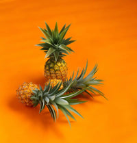 Ripe orange pineapple fruit grown from non-GMO seeds
