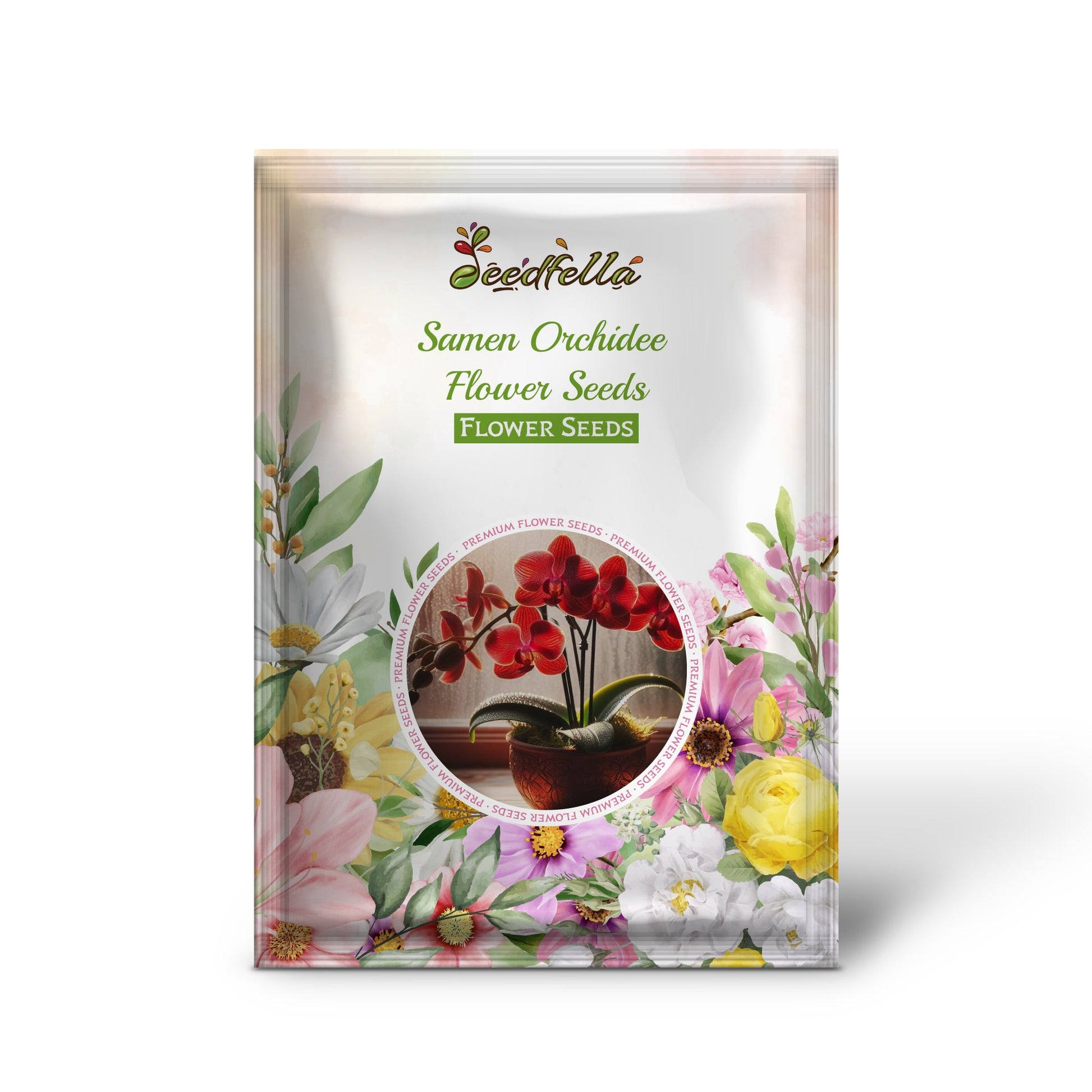 Orchidee Samen Seeds For Planting