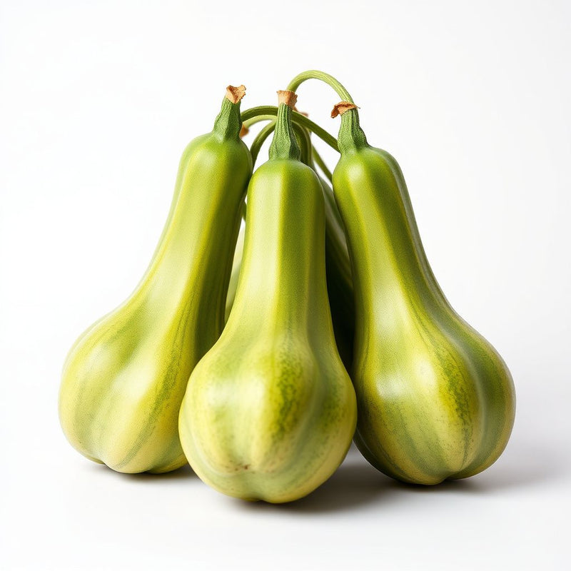 Bottle gourd Vegetable Seeds for Planting