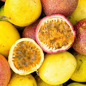 Passion Fruit seeds Passiflora edulis for planting in home garden