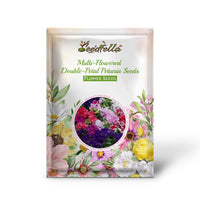 Double-petal mixed petunia seeds germinating indoors