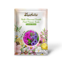 Double-petal petunia seeds germinating indoors