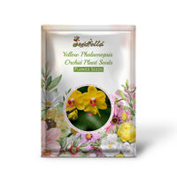 Phalaenopsis Yellow Seeds For Planting