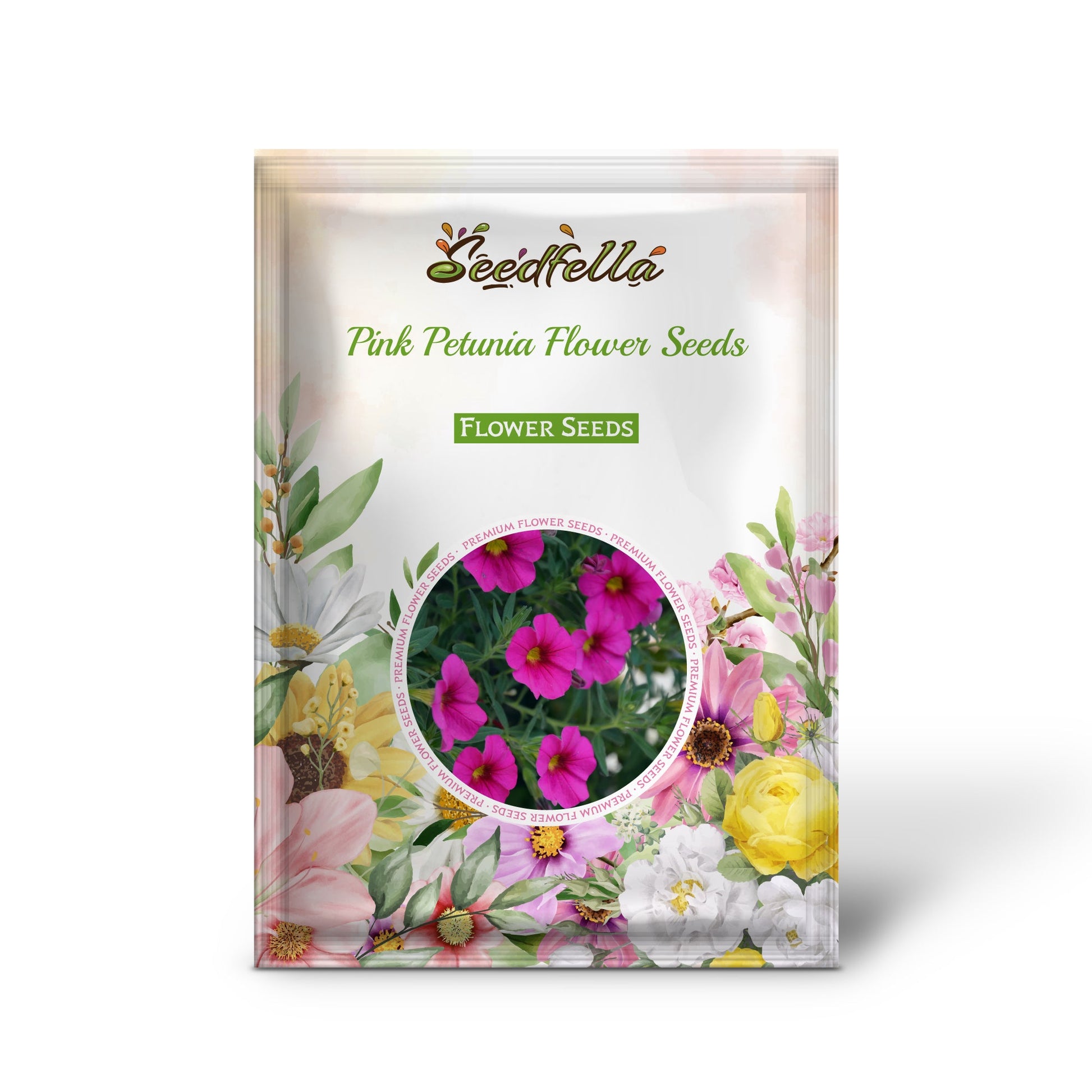 Pink petunia seeds germinating seedlings