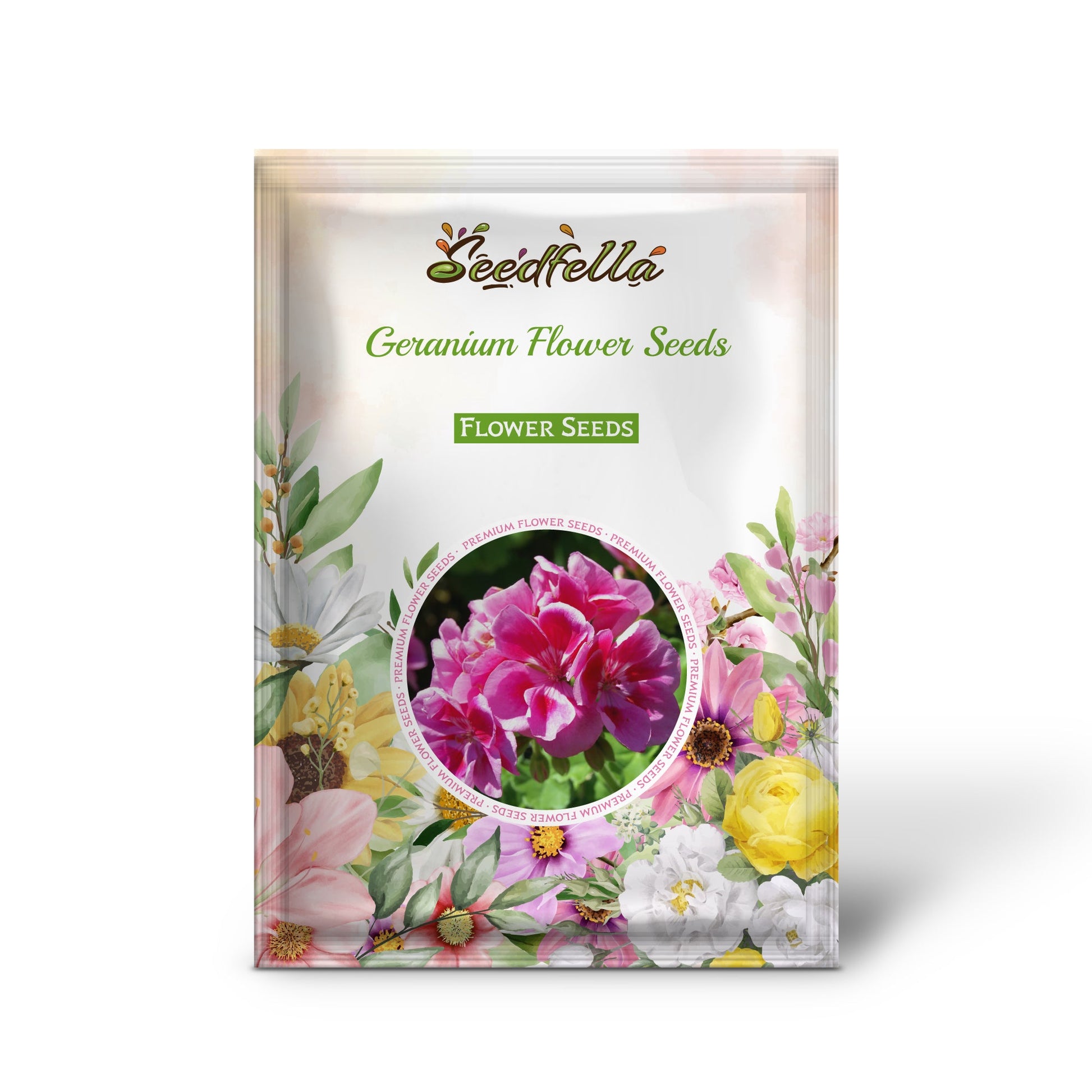 Pink red geranium seeds germinating indoors