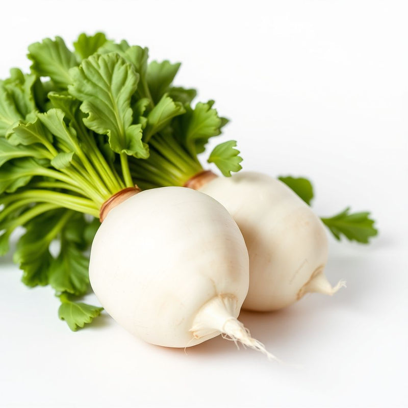 White Turnip Vegetable for Planting Seeds