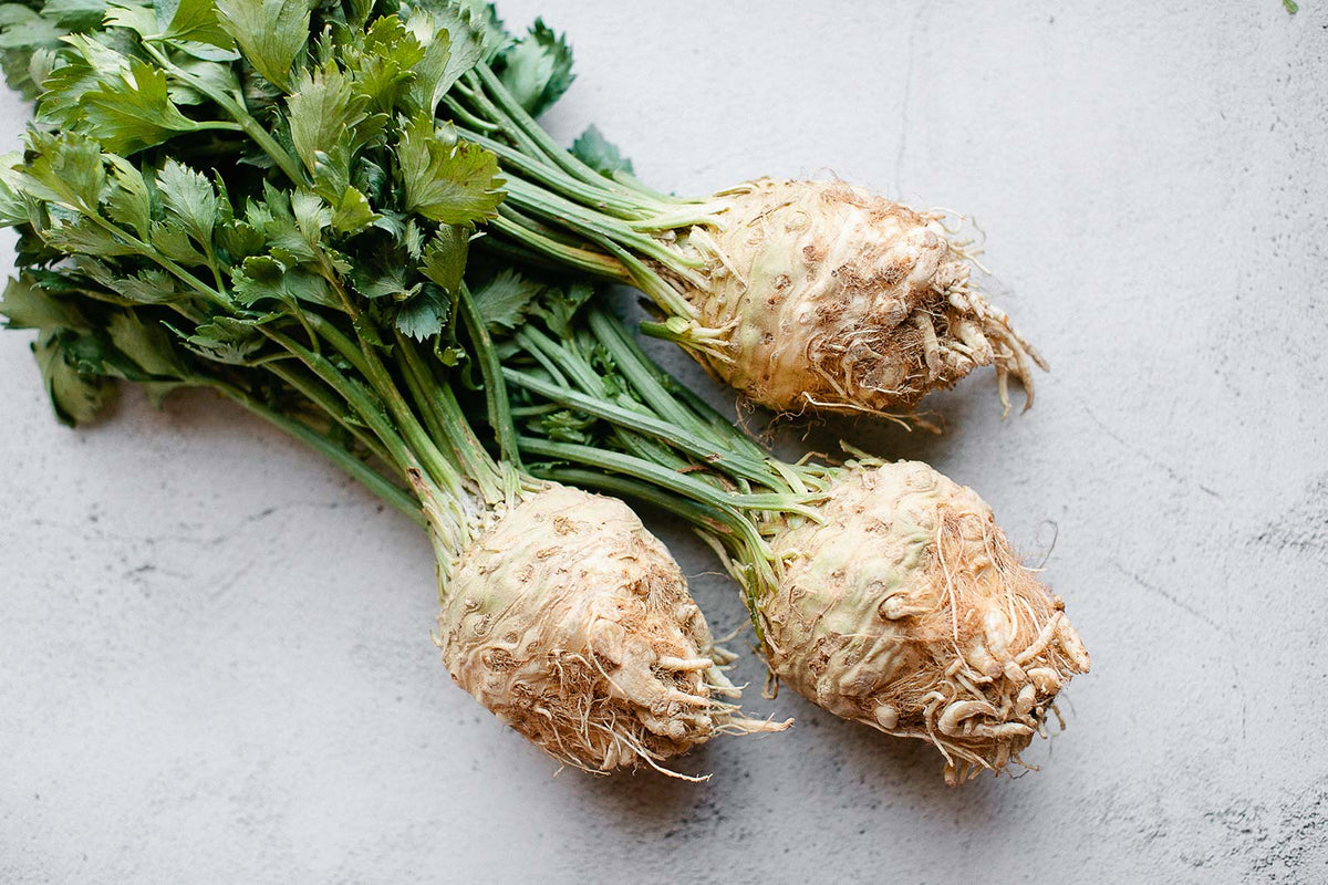 Premium Celeriac seeds high germination