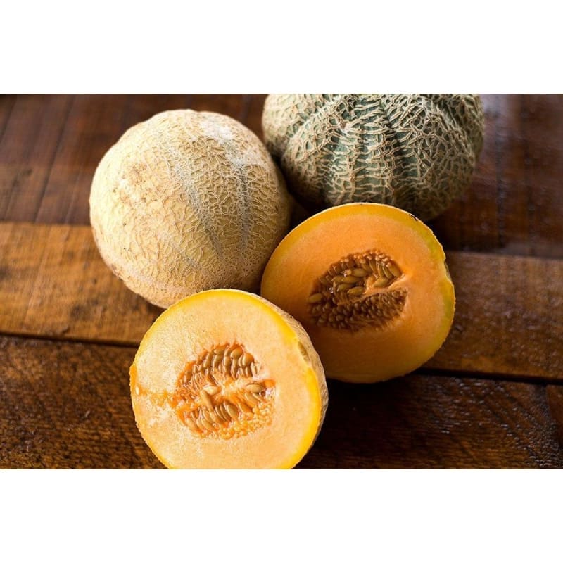 Premium Halona Hybrid Melon seeds for home gardens
