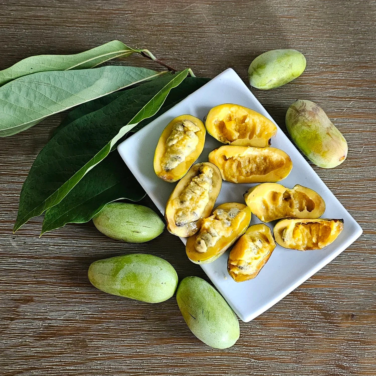 Pawpaw Fruit Seeds for Planting  Grow Exotic Tropical Fruit at Home