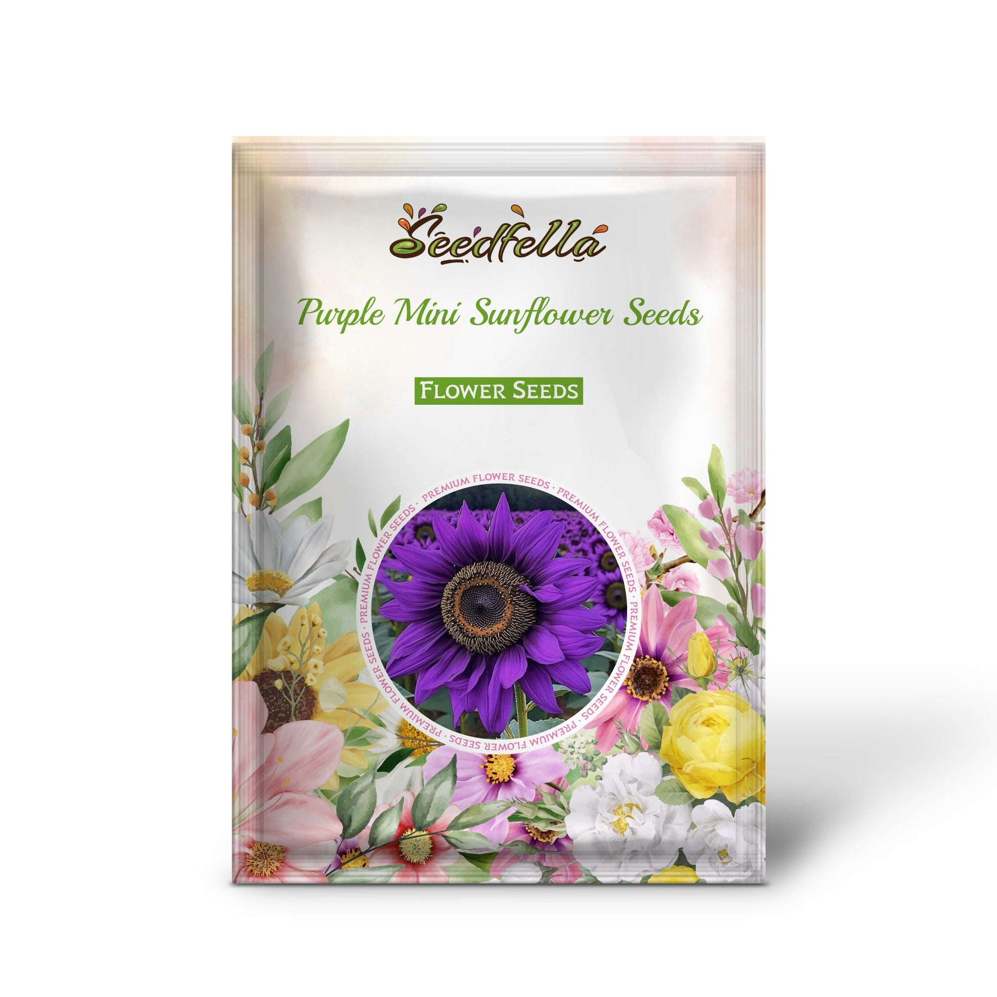 Purple mini sunflower seeds germinating seedlings