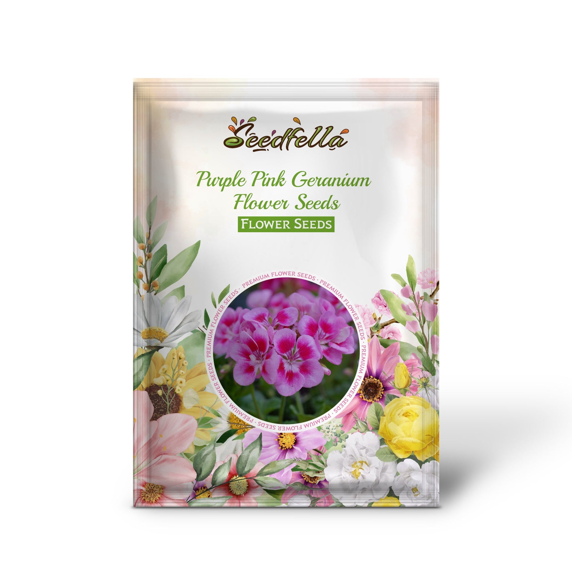 Purple pink geranium seeds germinating seedlings