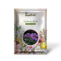 Purple and white Cyclamen seeds sprouting young plants