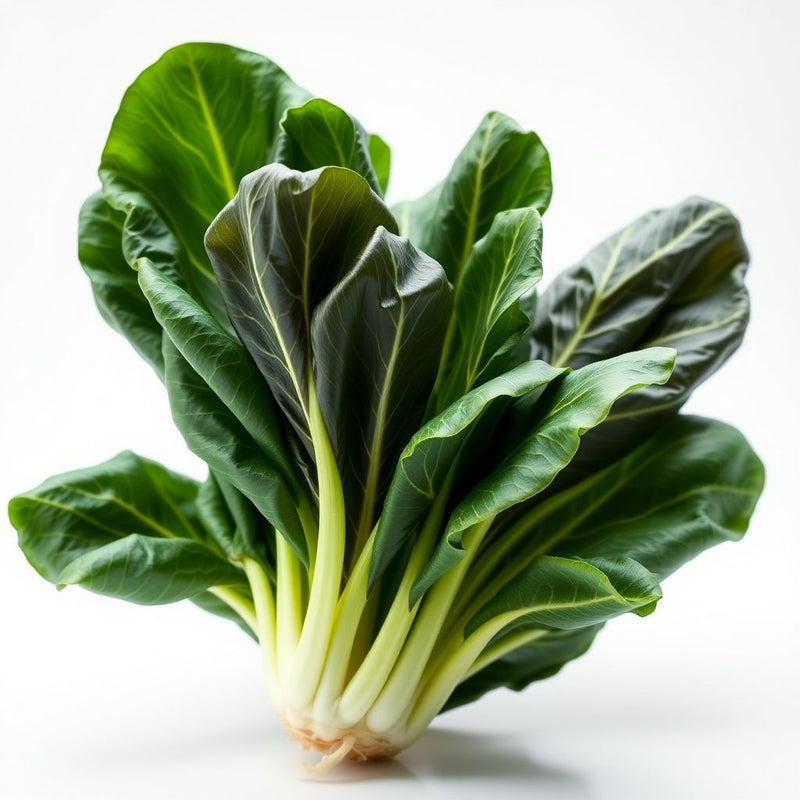 Black Choi Bok Choy Planting Seeds