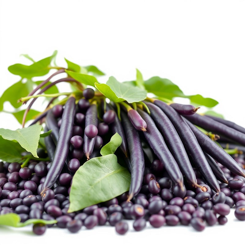 Violet Bean Seeds for Planting - Nutritious Vegetable Option