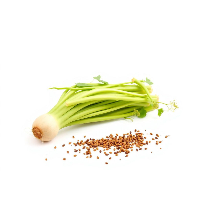 Green Horseradish Vegetable Seeds for Planting