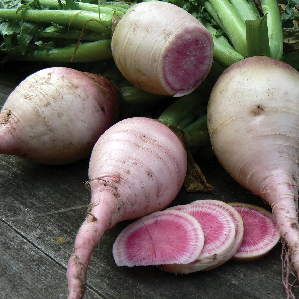 Watermelon Radish Vegetable Seeds for Planting