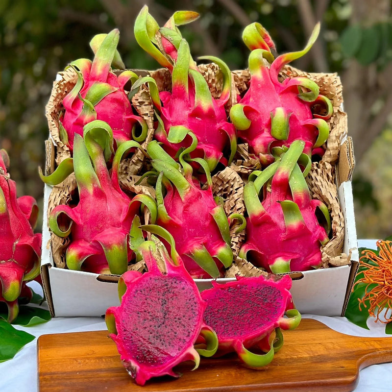 Pink Pitaya Seeds for Planting  Grow Your Own Delicious Dragon Fruit