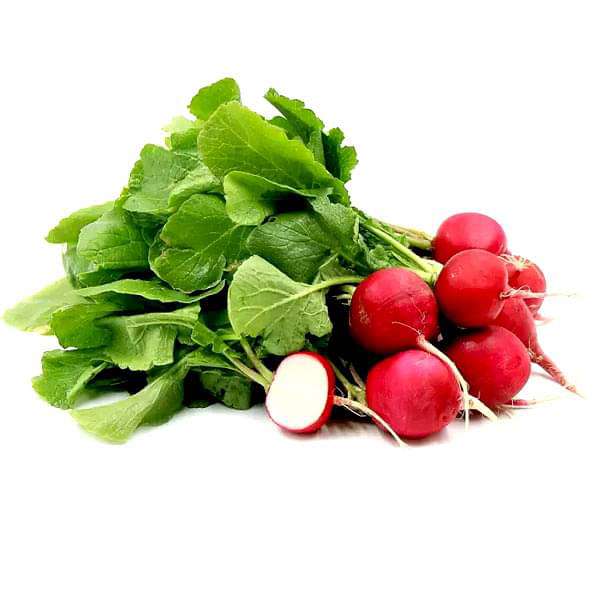 Red Radish seedlings sprouting from seeds