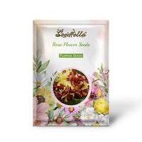 Red and yellow rose seeds germinating indoors
