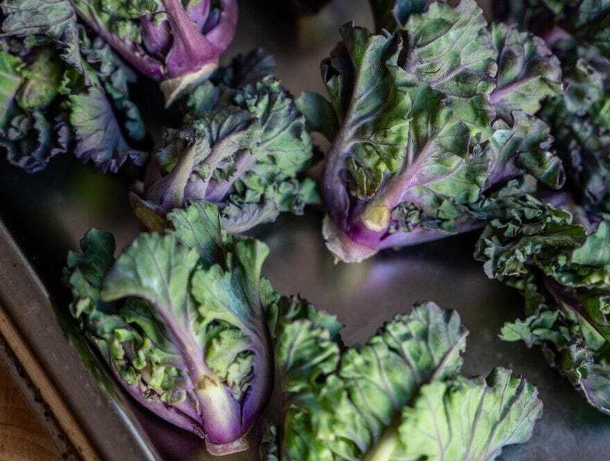 Purple Kalettes Vegetable Seeds for Planting