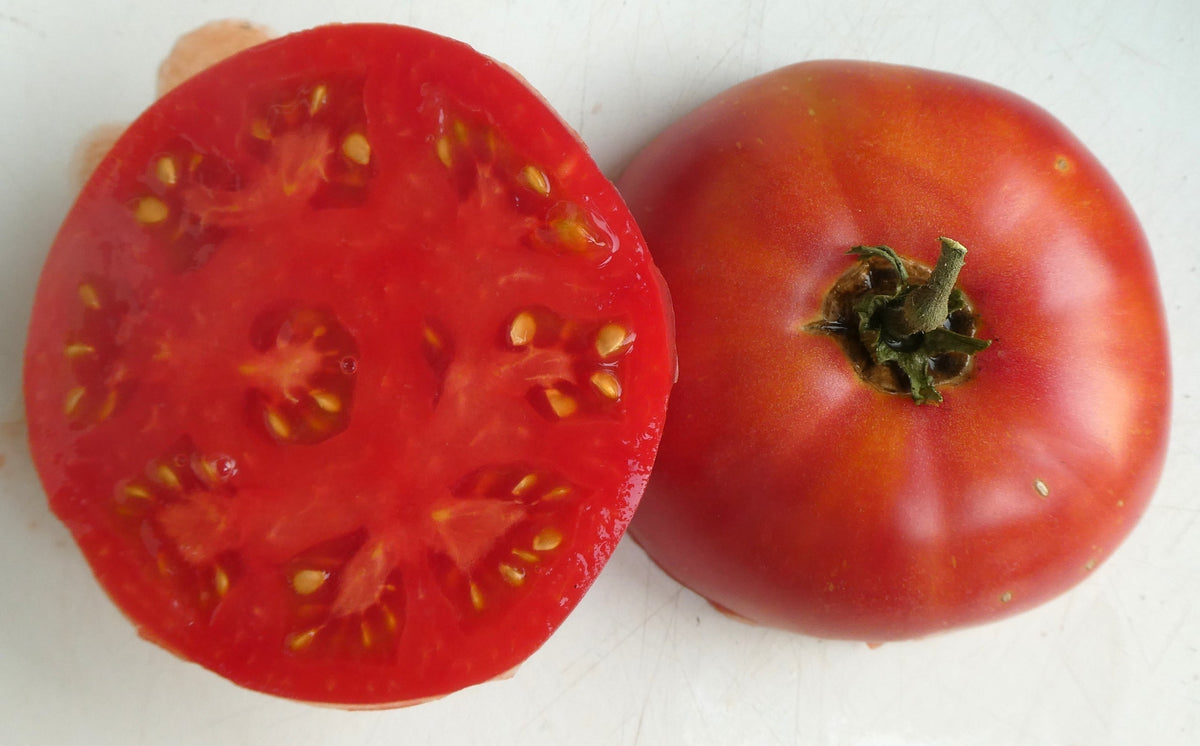 Rebel Yell Tomato Solanum lycopersicum Seeds for Planting in Vegetable Patch