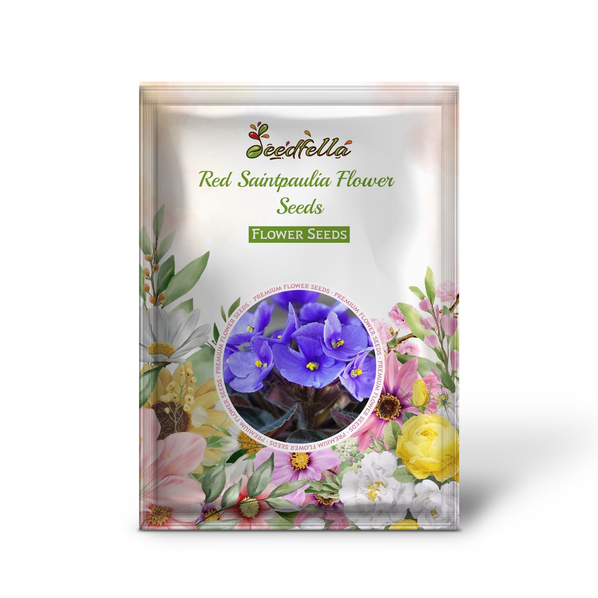 Saintpaulia Red Seeds For Planting