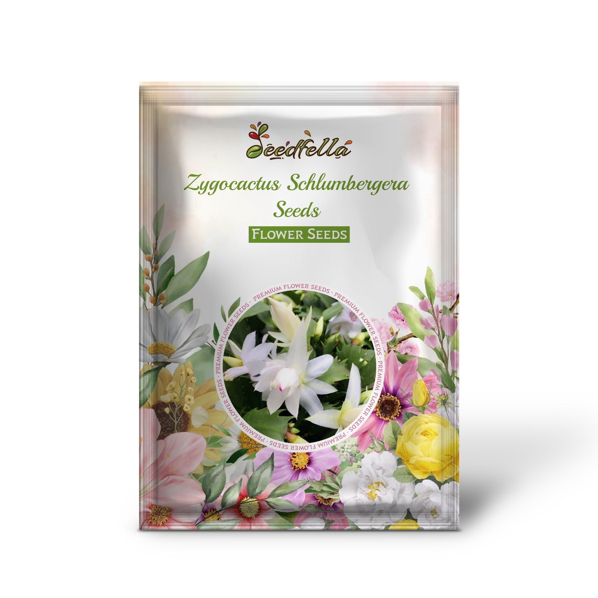 Schlumbergera Cactus Seeds For Planting