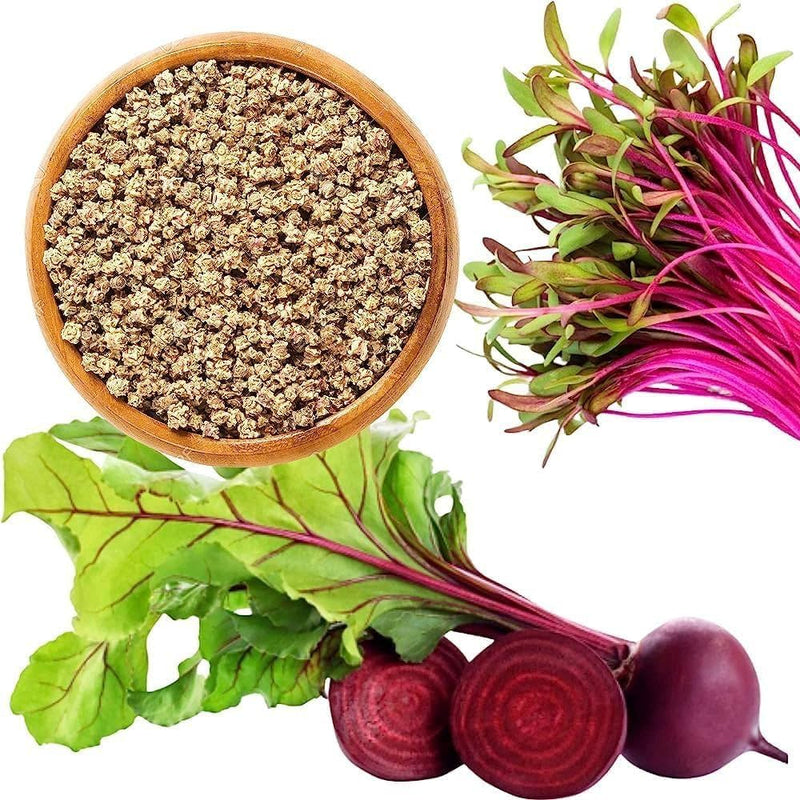 Sugar Beet seeds for home gardens