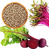 Sugar Beet seeds for home gardens