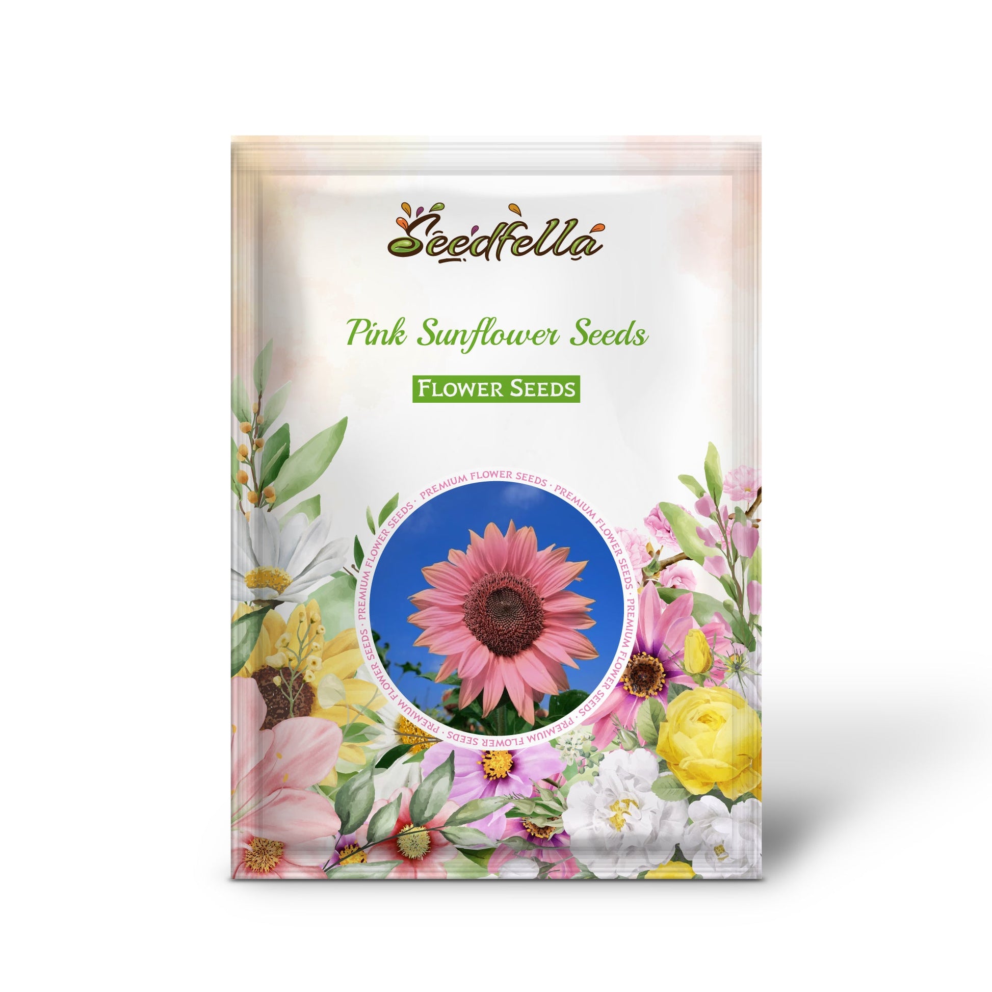 Pink sunflower seeds germination seedlings